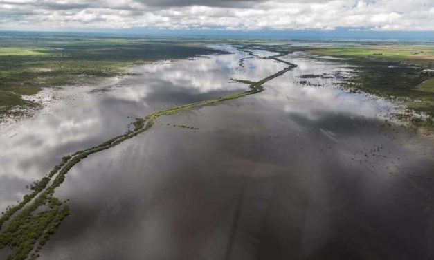 Declaran la emergencia agropecuaria para 200.000 hectáreas