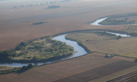 Elaboración del Plan de Gestión de la Reserva Provincial Corredor del Chocancharava