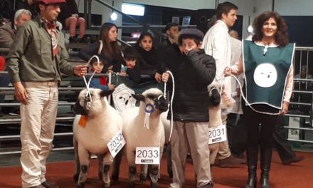 El Ipea n° 291 fue premiado en Palermo