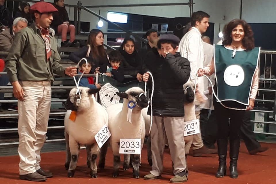 El Ipea n° 291 fue premiado en Palermo