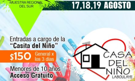 6° Muestra Regional del Sur en Laboulaye