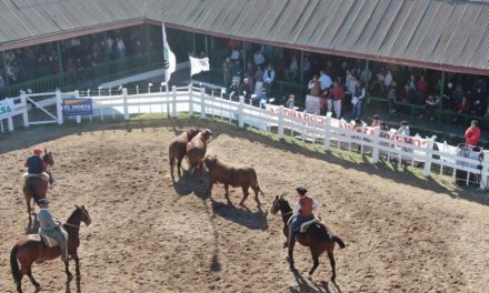 Exitosa 6° Muestra Regional del Sur en Laboulaye