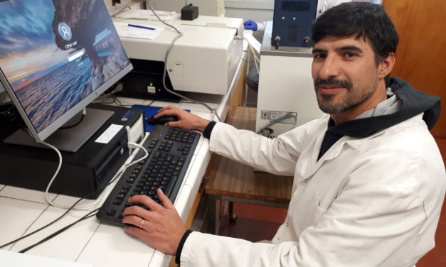 El científico local Darío Falcone fue distinguido con el máximo premio nacional en Química Orgánica