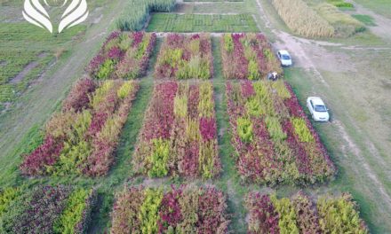 UNRC. Campo de Docencia y Experimentación Norte: hacia una unidad de producción agroecológica