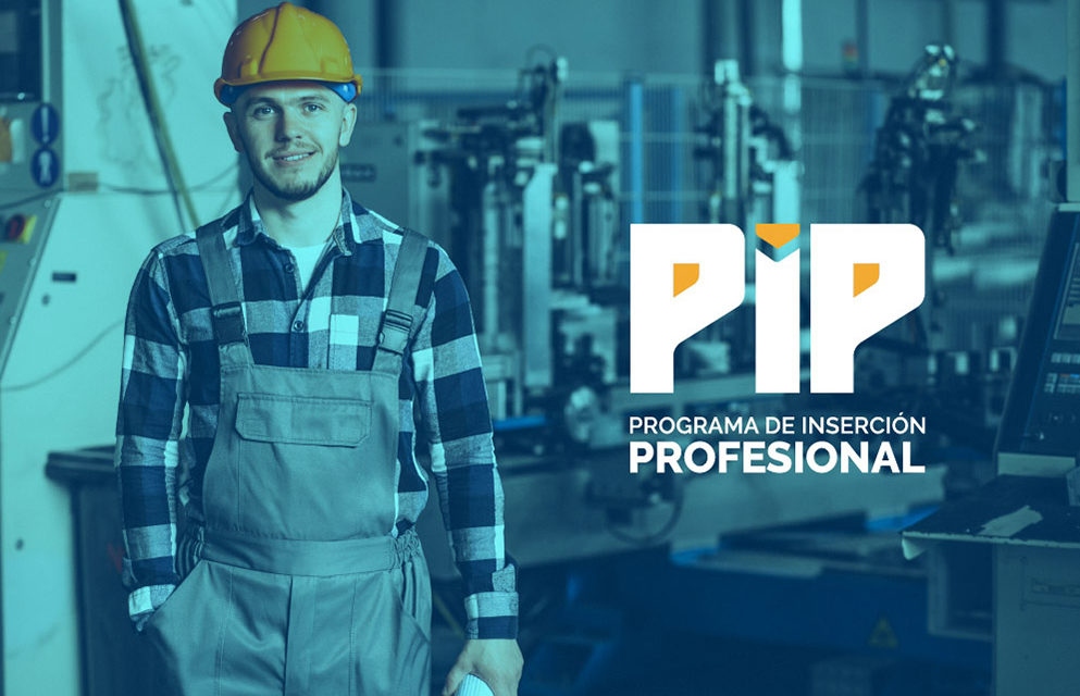 PIP: se amplía el cupo y 3.232 egresados realizarán la práctica profesional