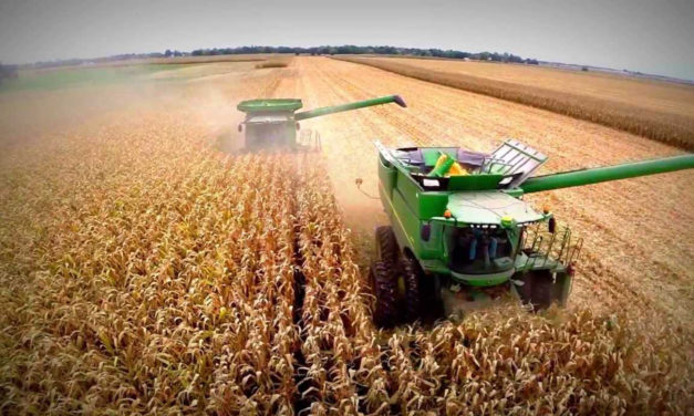 Polémica en el gremialismo rural por declaraciones que avalan las retenciones
