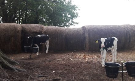 La UNRC aporta conocimiento a un proyecto binacional de investigación agropecuaria