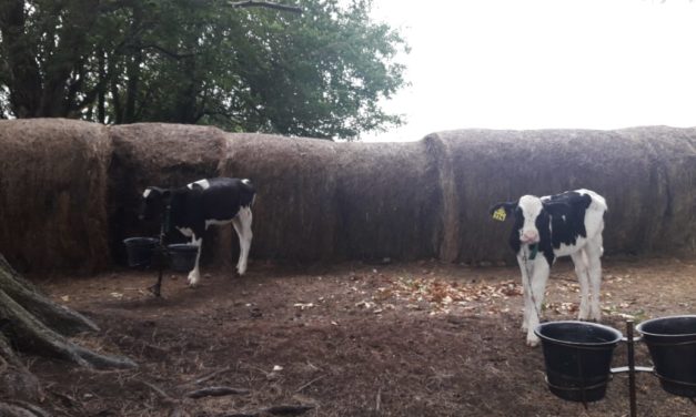 La UNRC aporta conocimiento a un proyecto binacional de investigación agropecuaria