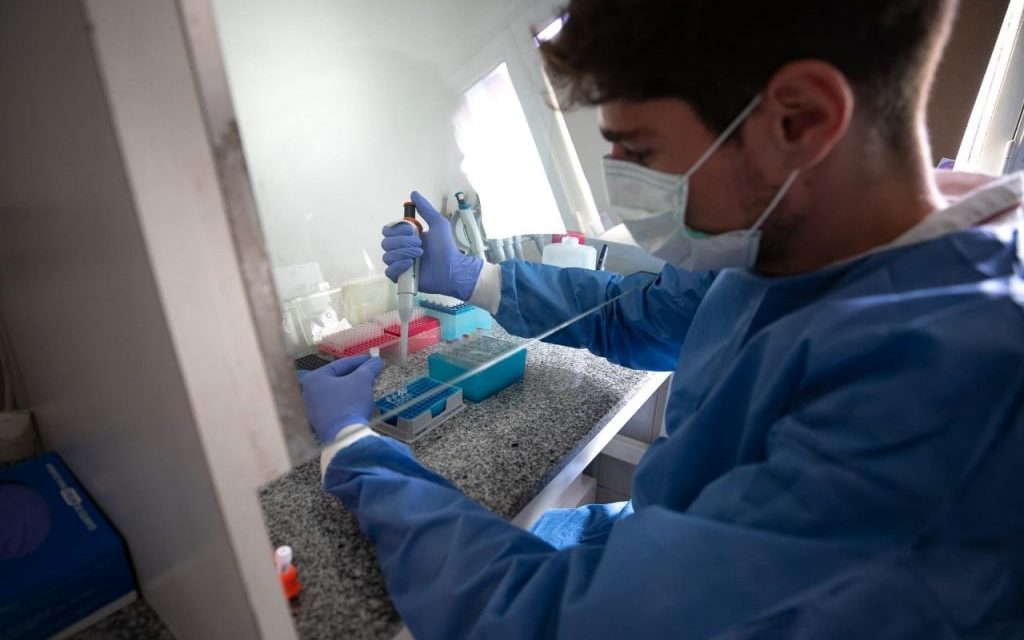 COVID-19: informe diario de casos en la Provincia