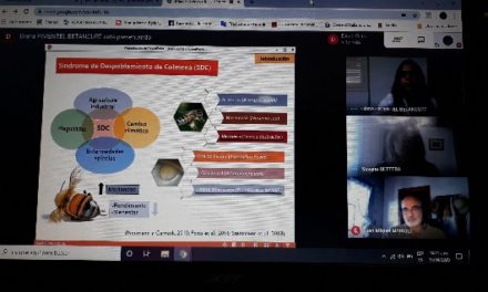 Dos flamantes doctoras de Exactas defendieron sus tesis por videoconferencia
