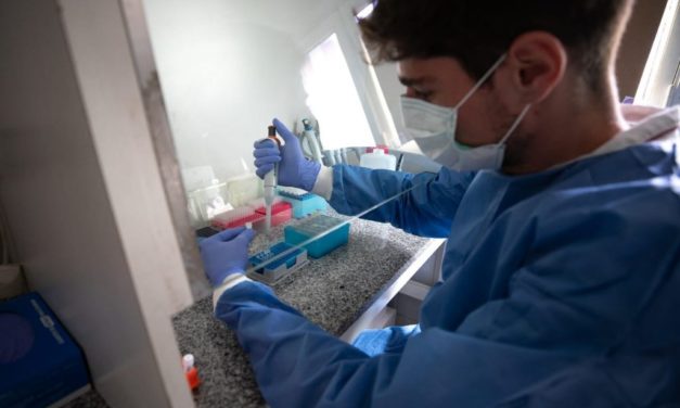 Covid-19: informe diario de casos en Córdoba