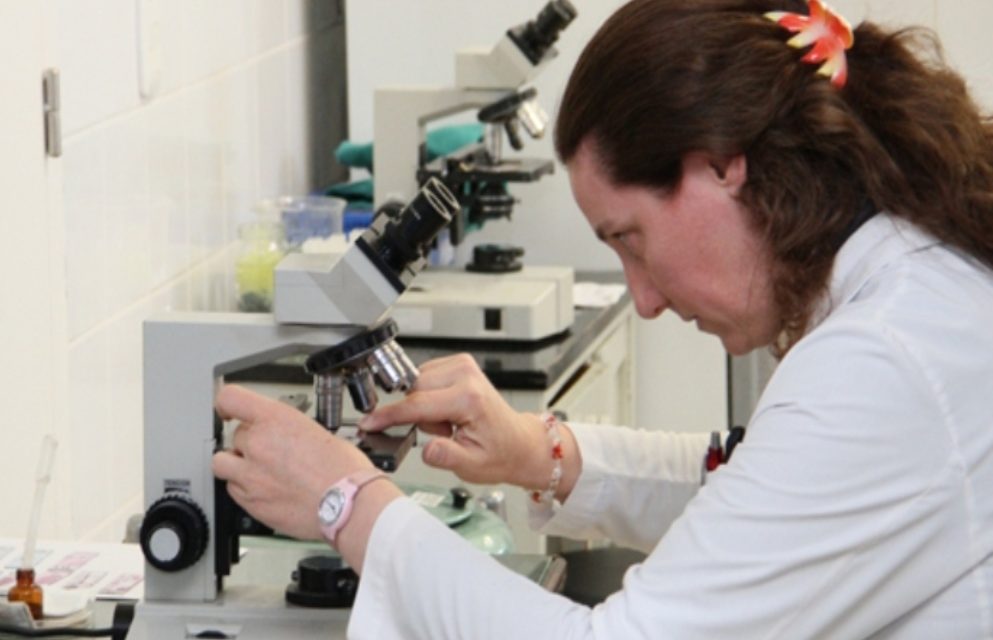 Coronavirus: informe diario de la situación en la provincia