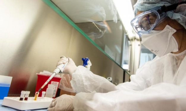 Coronavirus en Argentina: lograron descifrar el genoma del Covid-19 local