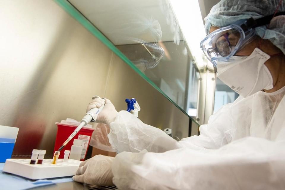Coronavirus en Argentina: lograron descifrar el genoma del Covid-19 local