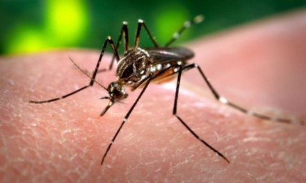 286 nuevos casos de dengue en la provincia