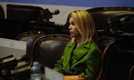 Presentaron proyecto para garantizar la paridad de género en Diputados