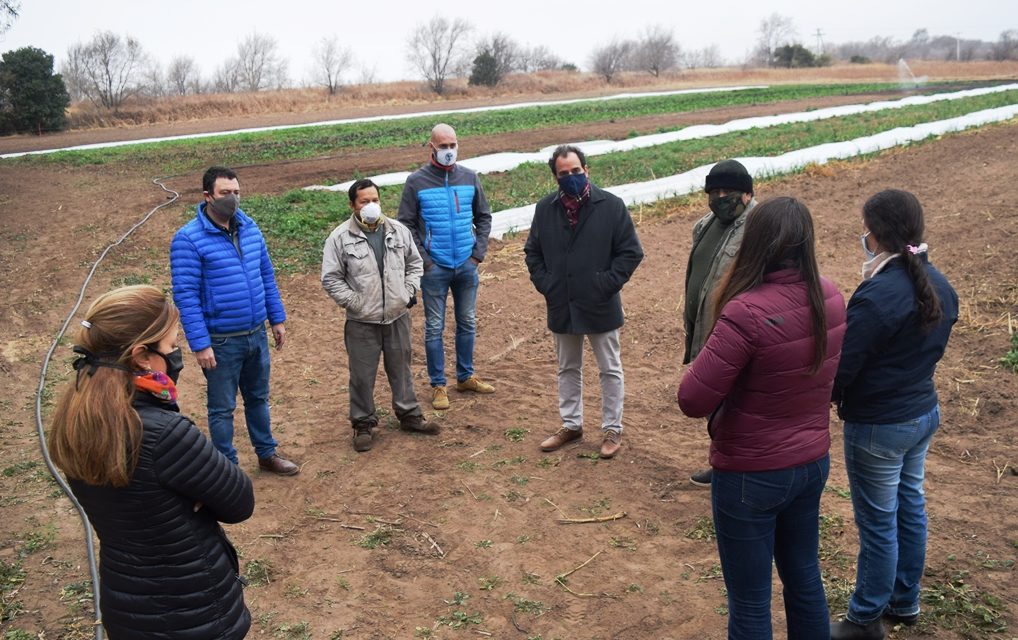 Productores locales apuestan por huertas agroecológicas