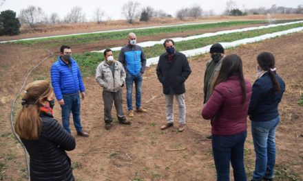 Productores locales apuestan por huertas agroecológicas