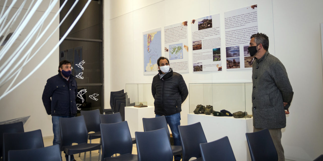 Habilitación virtual del Museo “Héroes de Malvinas”