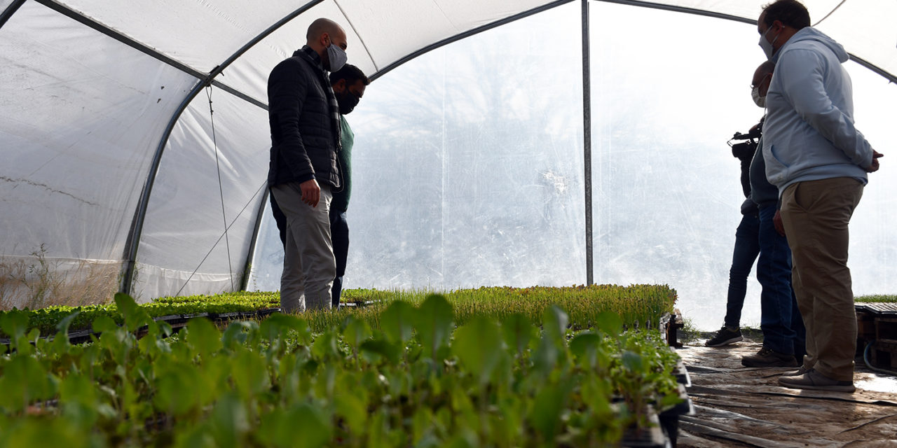 Más de 32 mil plantines en la Plantinera Municipal