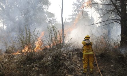 Bomberos se aprestan para enfrentar otra jornada complicada