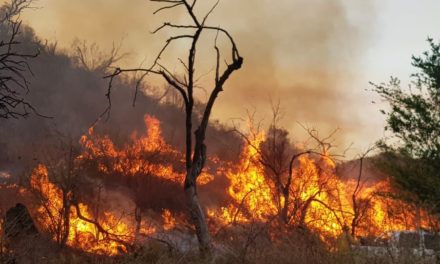Bomberos combatieron el fuego durante toda la noche