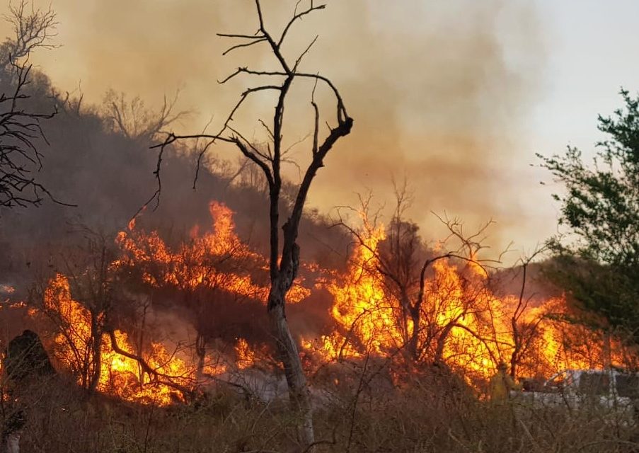 Bomberos combatieron el fuego durante toda la noche