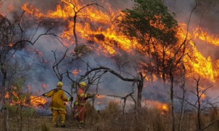 MÁS DE 200 BOMBEROS COMBATEN INCENDIOS EN LAS ALBAHACAS, VILLA EL CHACAY Y ALPA CORRAL