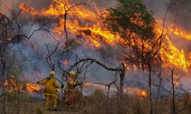 MÁS DE 200 BOMBEROS COMBATEN INCENDIOS EN LAS ALBAHACAS, VILLA EL CHACAY Y ALPA CORRAL