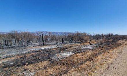 Desastre Agropecuario: Nación homologó la declaración de Córdoba