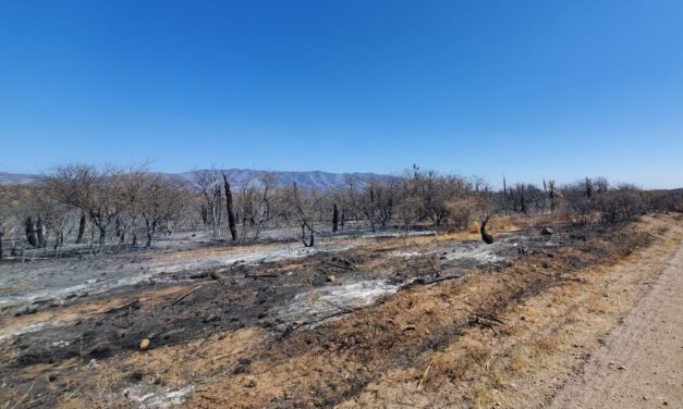 Desastre Agropecuario: Nación homologó la declaración de Córdoba