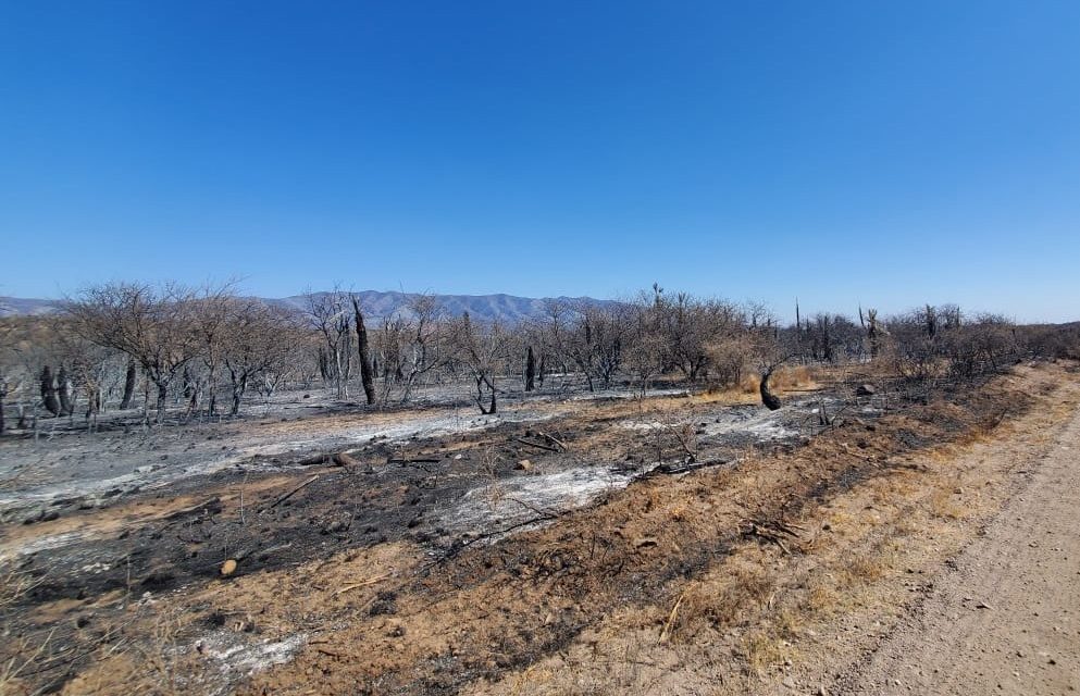 Desastre Agropecuario: Nación homologó la declaración de Córdoba