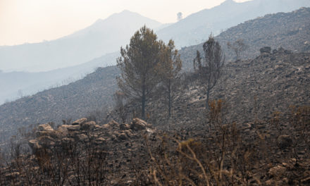 SE SUMAN OTROS 60 BRIGADISTAS DE NACIÓN A LA LUCHA CONTRA EL FUEGO
