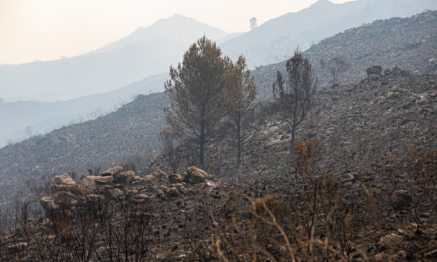 SE SUMAN OTROS 60 BRIGADISTAS DE NACIÓN A LA LUCHA CONTRA EL FUEGO