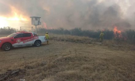 Fuego en Córdoba: está contenido el foco que azotó la zona de La Perla