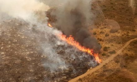 El fuego continúa activo en las regiones de Río Cuarto y Cruz del Eje