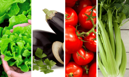 Huerta en tu hogar: se completó el cupo de semillas Primavera – Verano