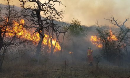 Siguen activos varios focos en las sierras: hoy llegan brigadistas de Nación