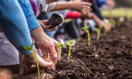 UNRC: Hasta el 20 se reciben proyectos para huertas comunitarias locales