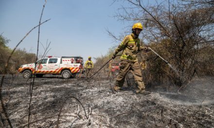 Nación declaró el estado de desastre agropecuario en Córdoba, Corrientes y Chaco