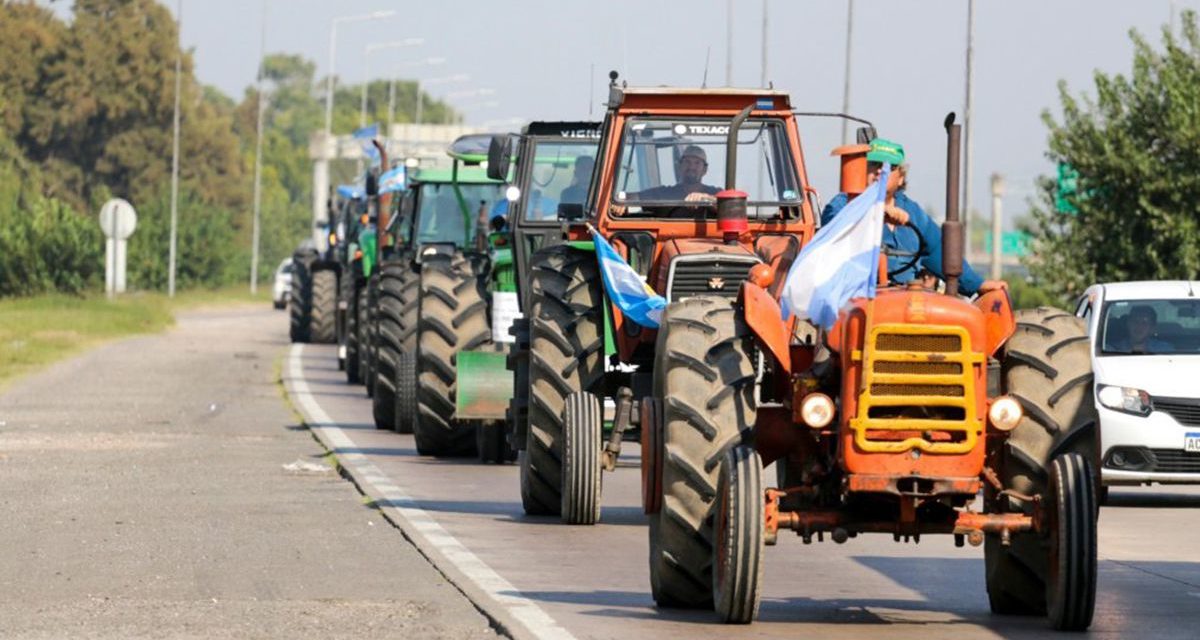 El Gobierno Nacional reabre las exportaciones del maiz