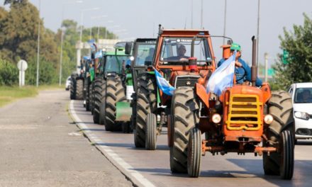 El Gobierno Nacional reabre las exportaciones del maiz