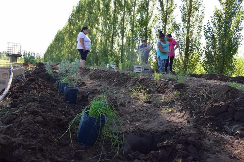 Coronel Moldes: preparan terreno para huerta agroecológica