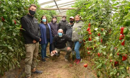 Alejandro Roca: La Subsecretaria de Agricultura Familiar de la Nación visitó la localidad