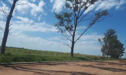 Viamonte: El municipio adquirió 3 hectáreas para loteos