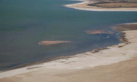 Ambiente elevó a Nación informe técnico para la creación del Parque Nacional Ansenuza