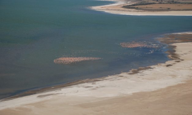 Ambiente elevó a Nación informe técnico para la creación del Parque Nacional Ansenuza