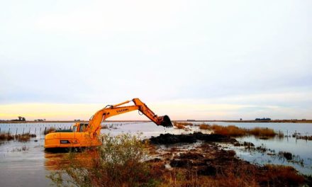 Canals: La provincia inició obra de alteo del camino que permite el ingreso a «La Helvecia»