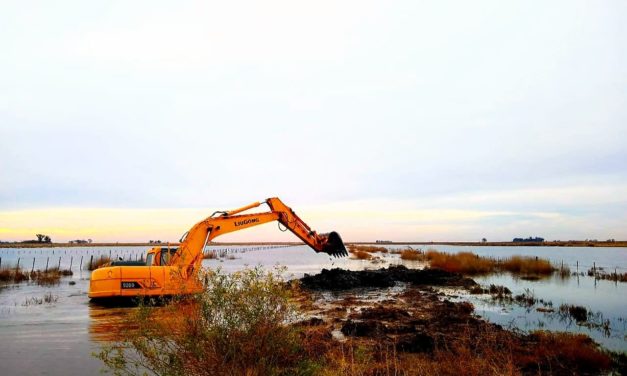 Canals: La provincia inició obra de alteo del camino que permite el ingreso a «La Helvecia»