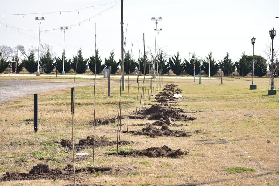 La Cautiva: continua la campaña de forestación